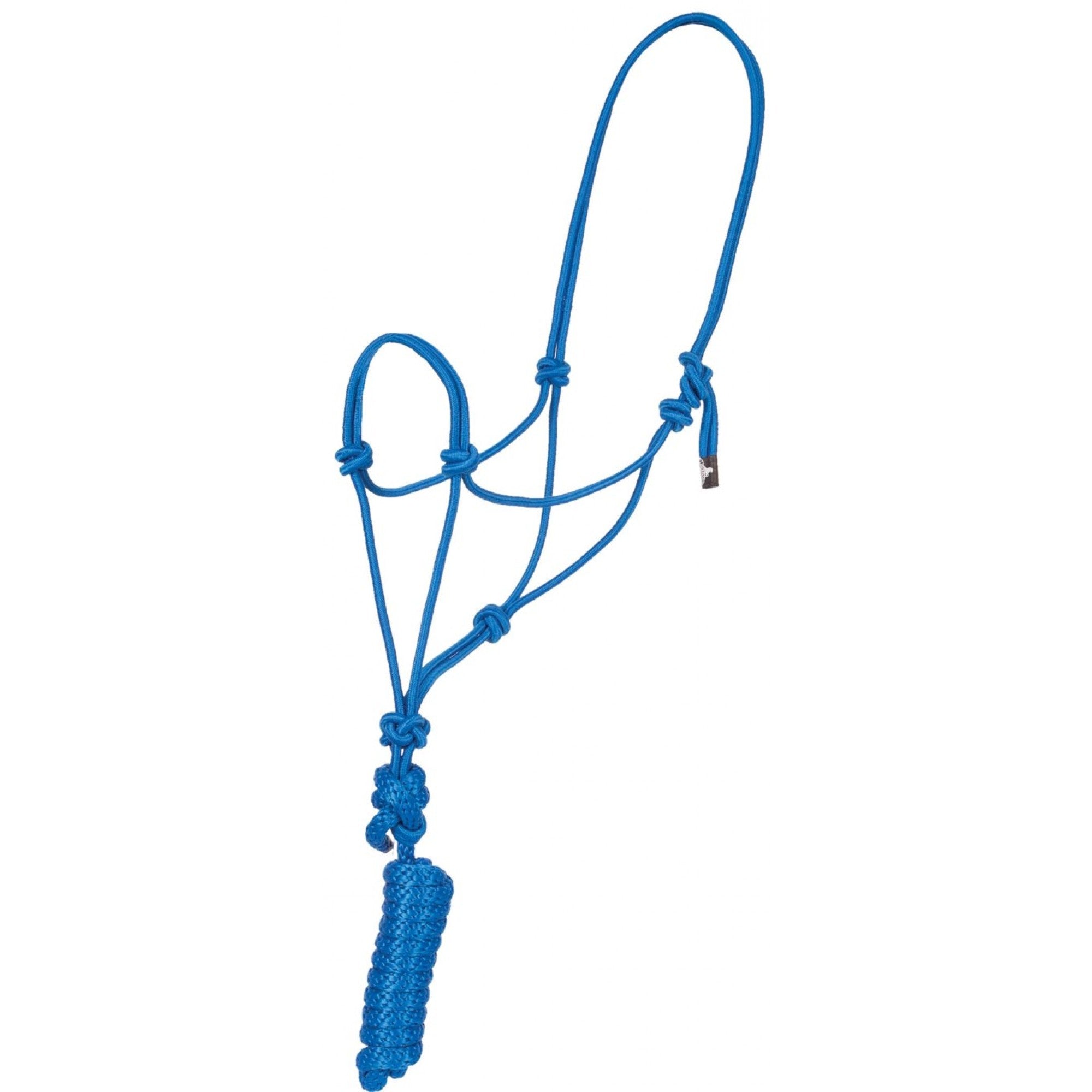 Economy Mountain Rope Halter and Lead