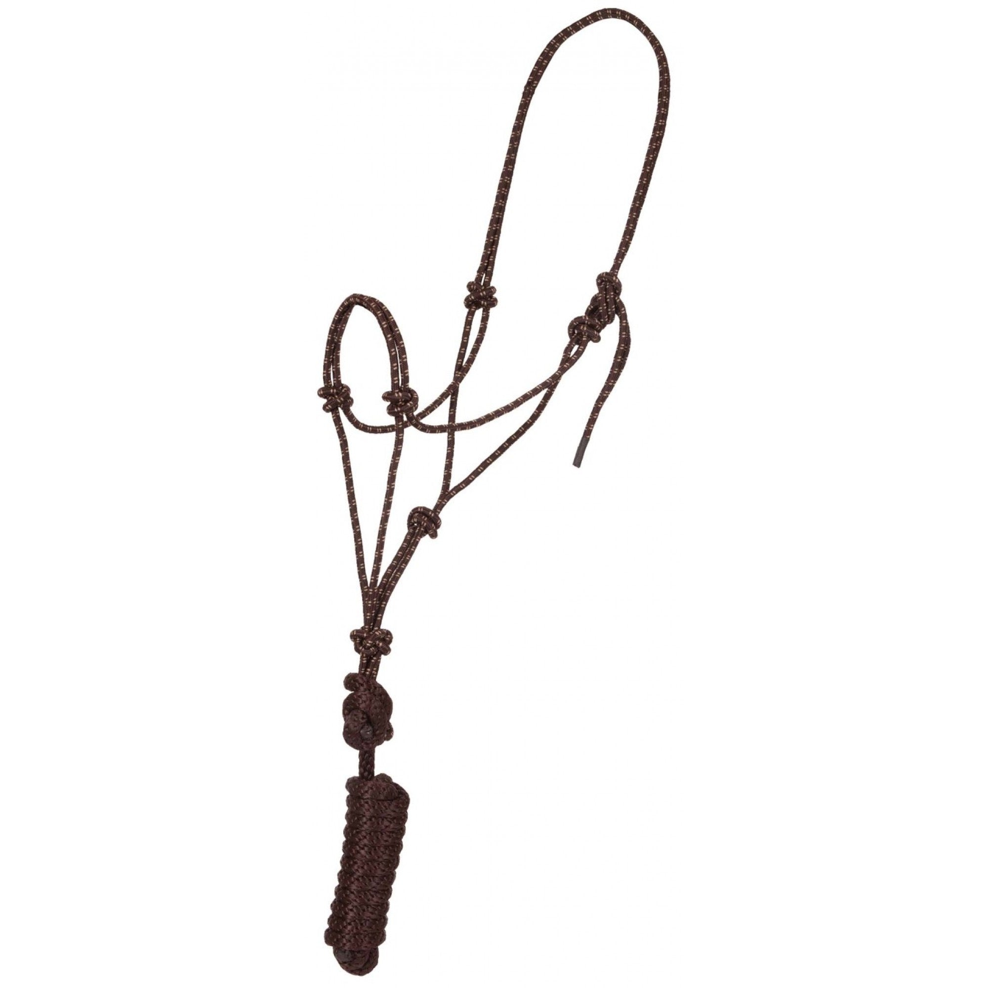 Economy Mountain Rope Halter and Lead