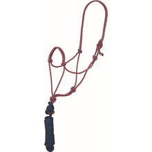 Load image into Gallery viewer, Economy Mountain Rope Halter and Lead
