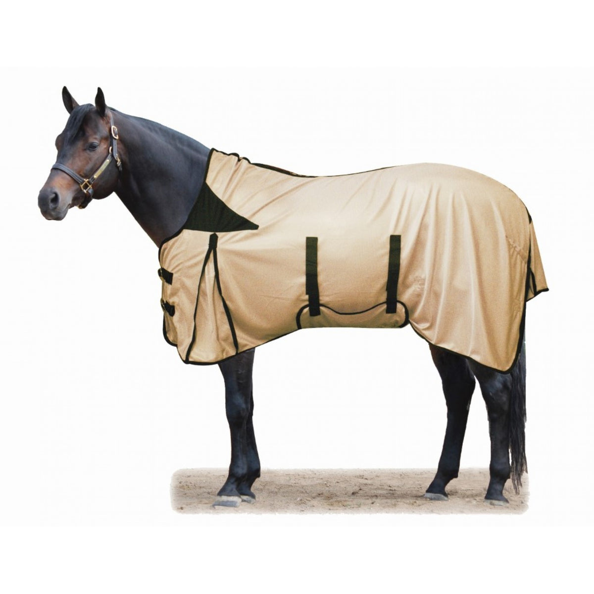 Shoulder Free Fly Sheet