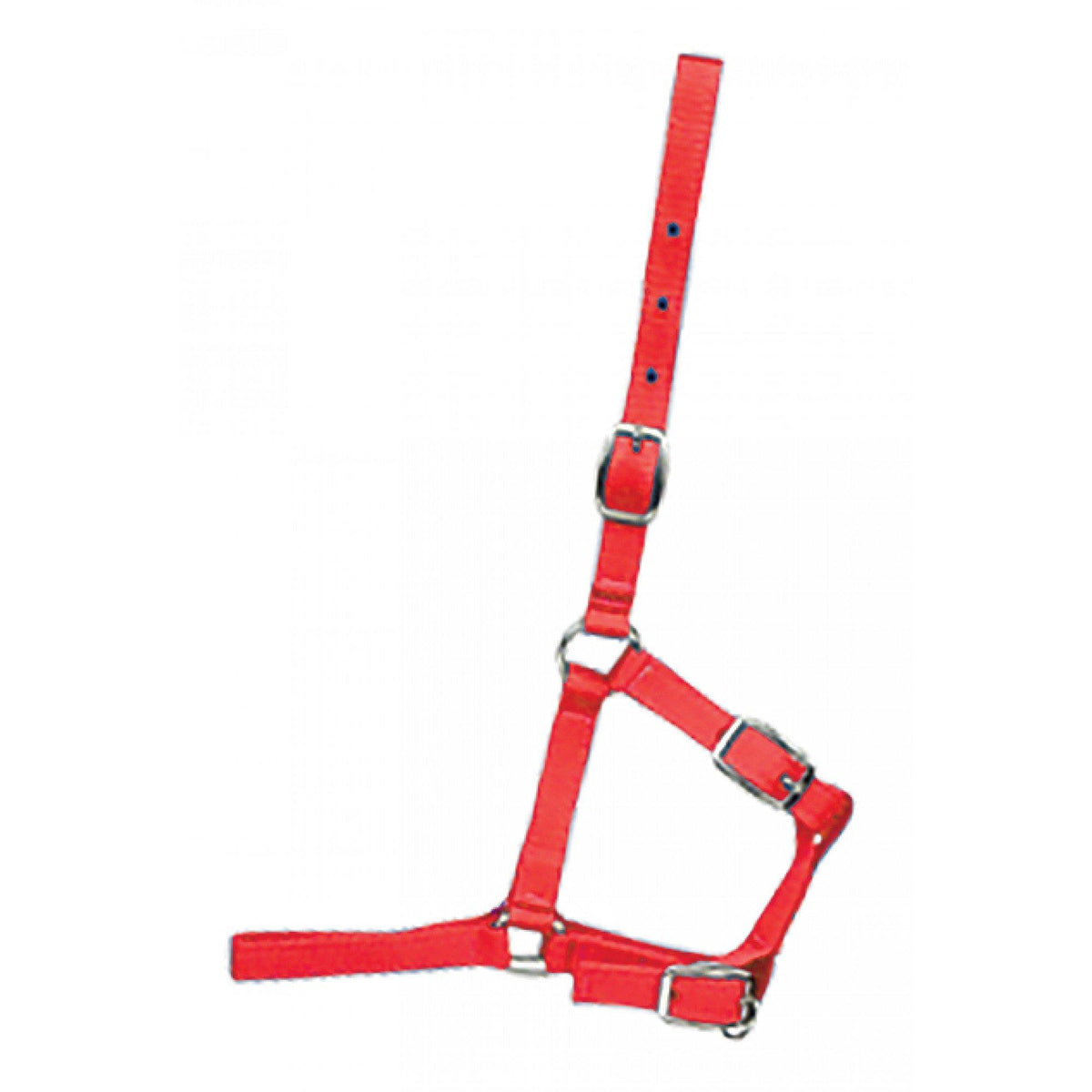 Foal Halter - Western Rawhide - FG Pro Shop Inc.