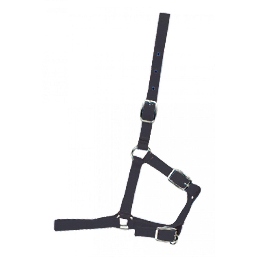 Foal Halter - Western Rawhide - FG Pro Shop Inc.