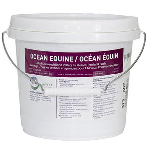 Ocean Equine by Lozana - FG Pro Shop Inc.
