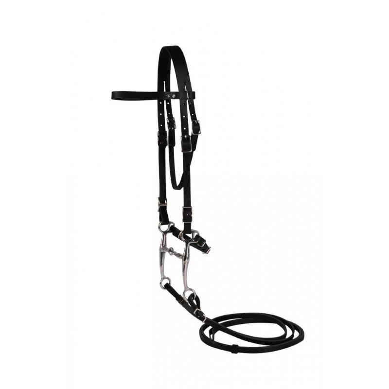 Western Rawhide Plain Pony Bridle & Reins - FG Pro Shop Inc.