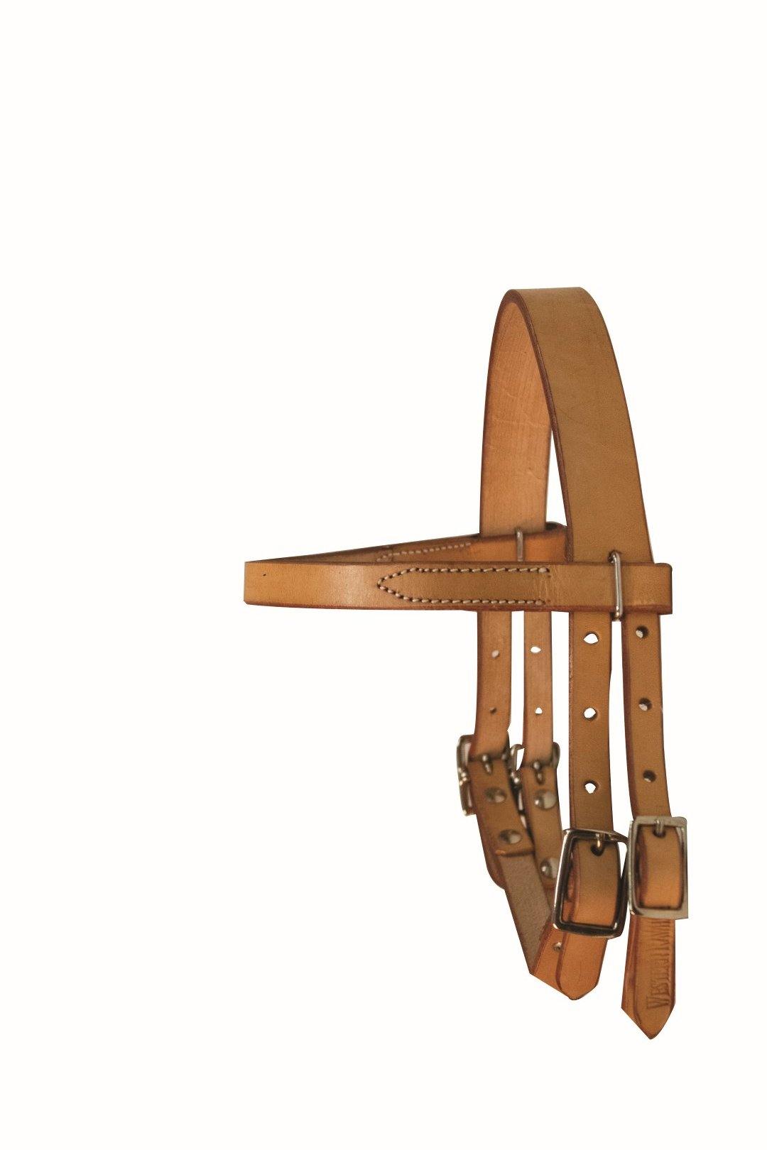 Western Rawhide Plain Pony Bridle & Reins - FG Pro Shop Inc.