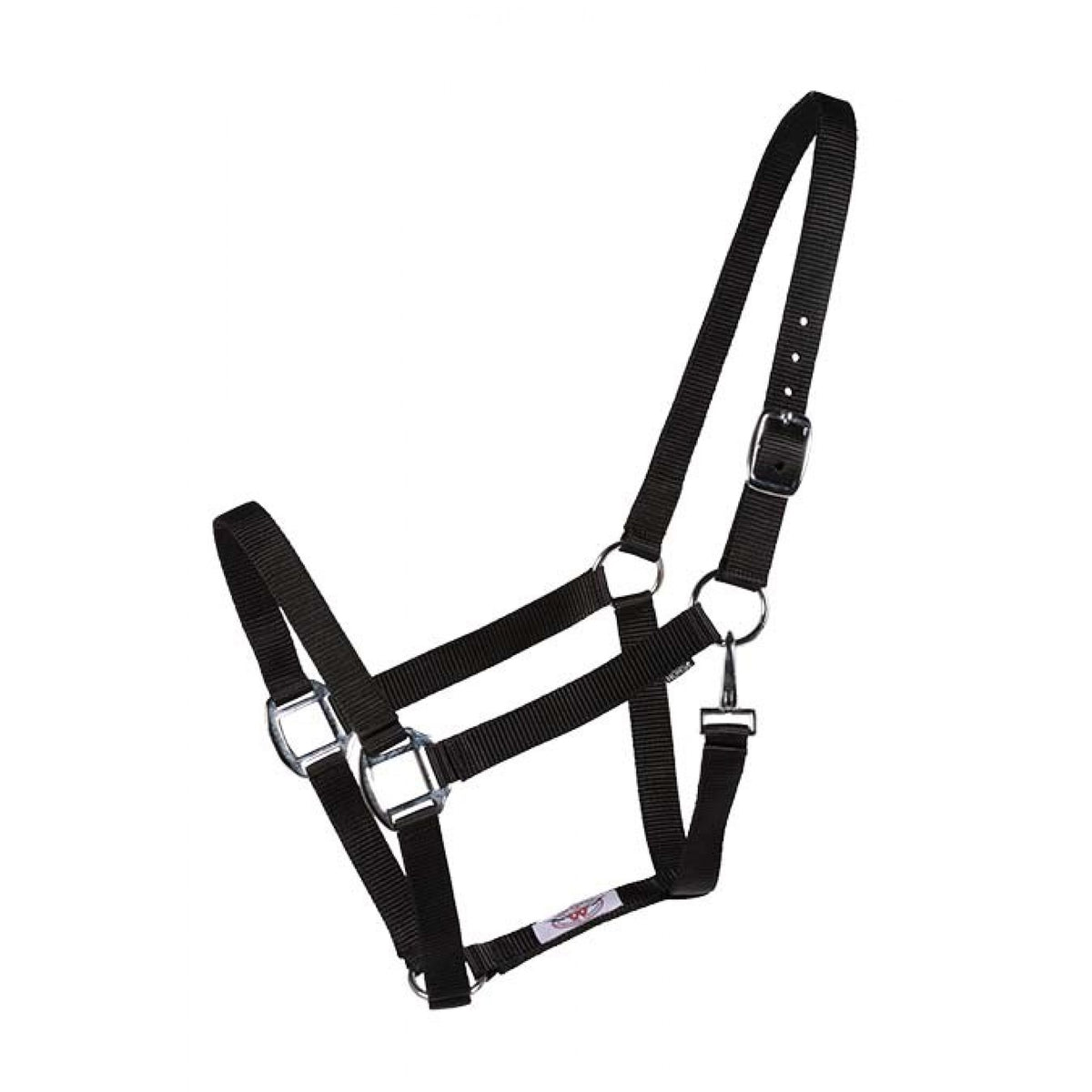 Licou Économique en Nylon