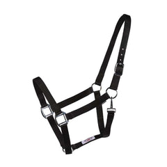 Licou Économique en Nylon