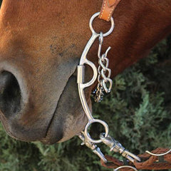 Derby Twisted Low Port Bit