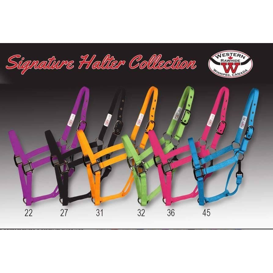 Signature Fashion Halter