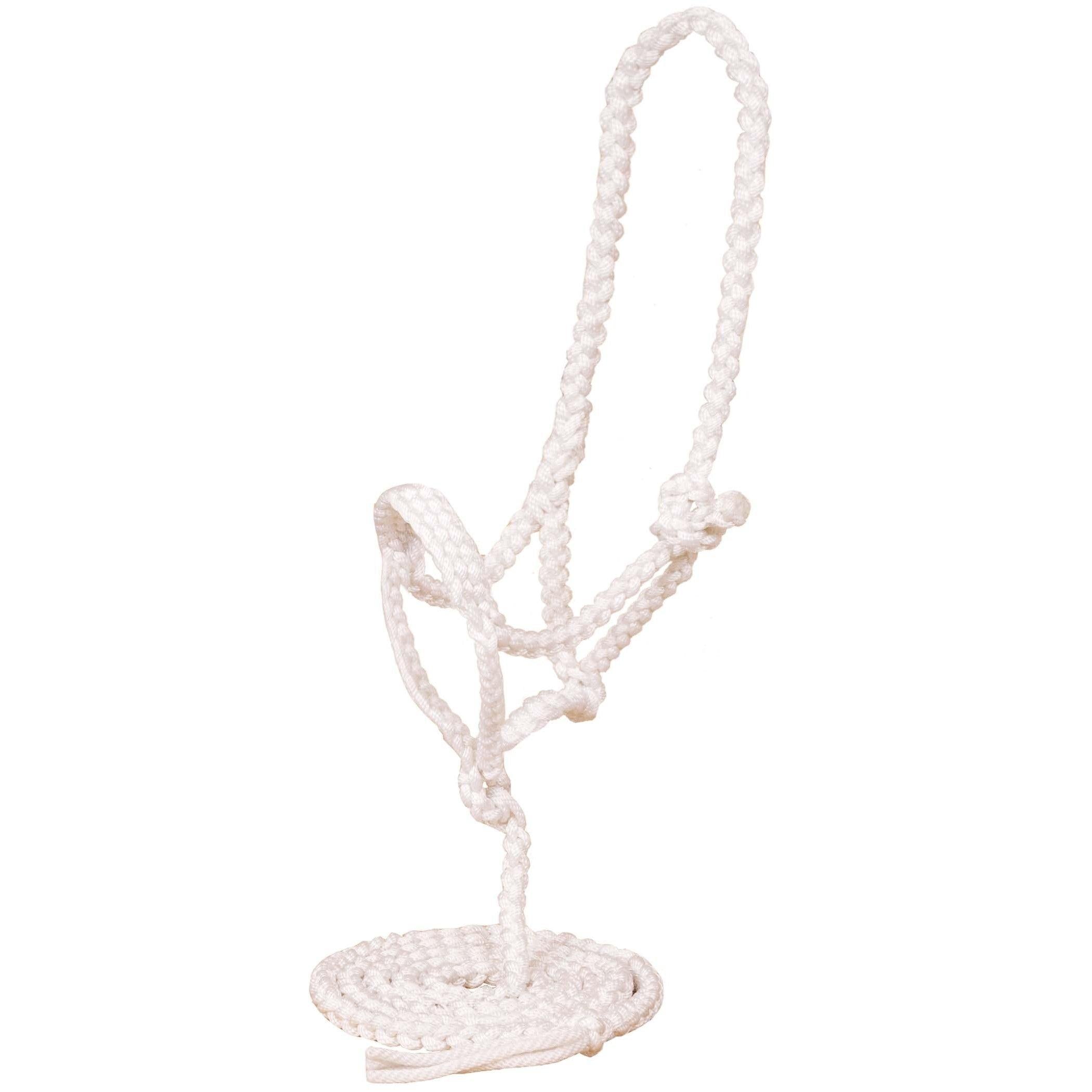Mustang Flat Noseband Plaited Halter - FG Pro Shop Inc.