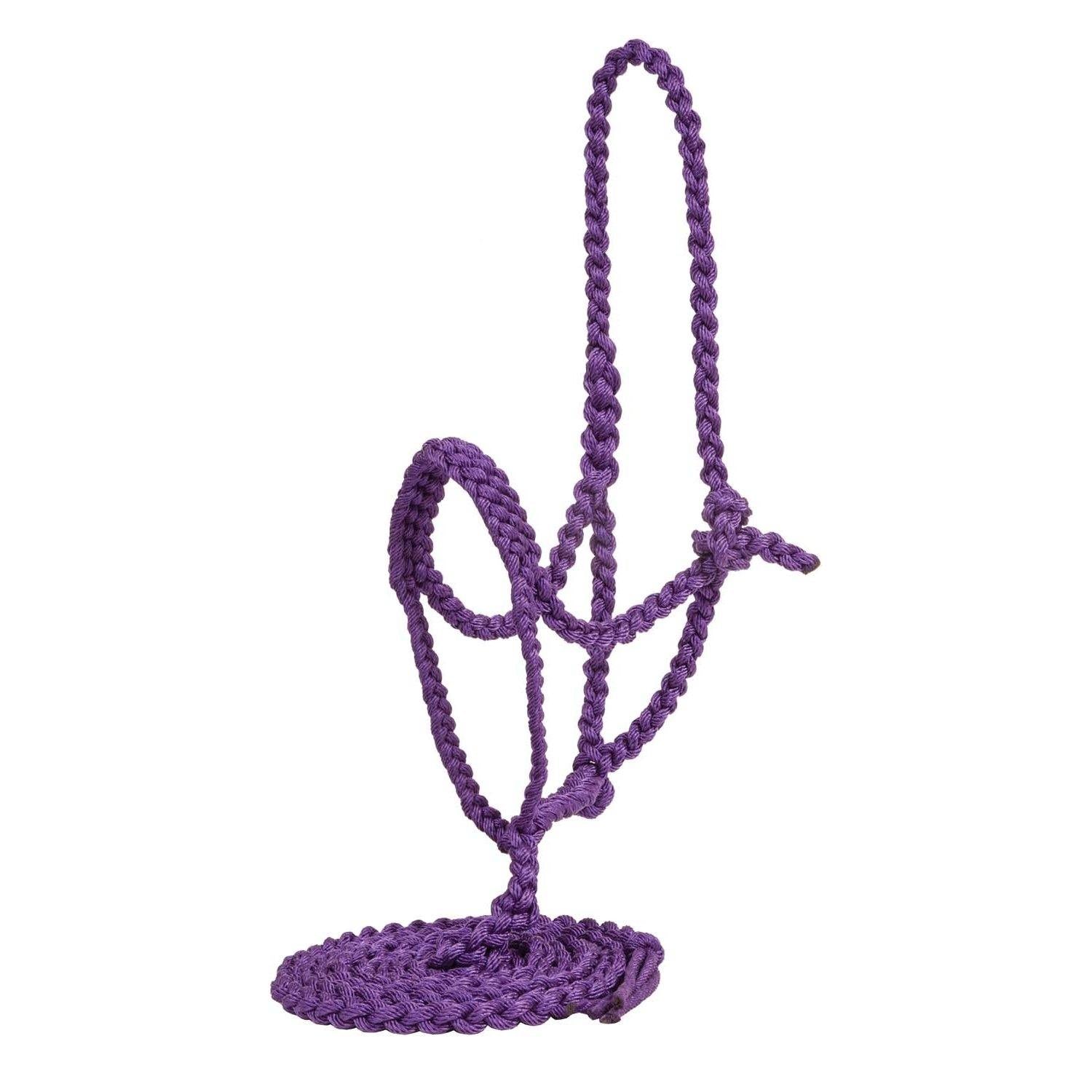 Mustang Flat Noseband Plaited Halter - FG Pro Shop Inc.
