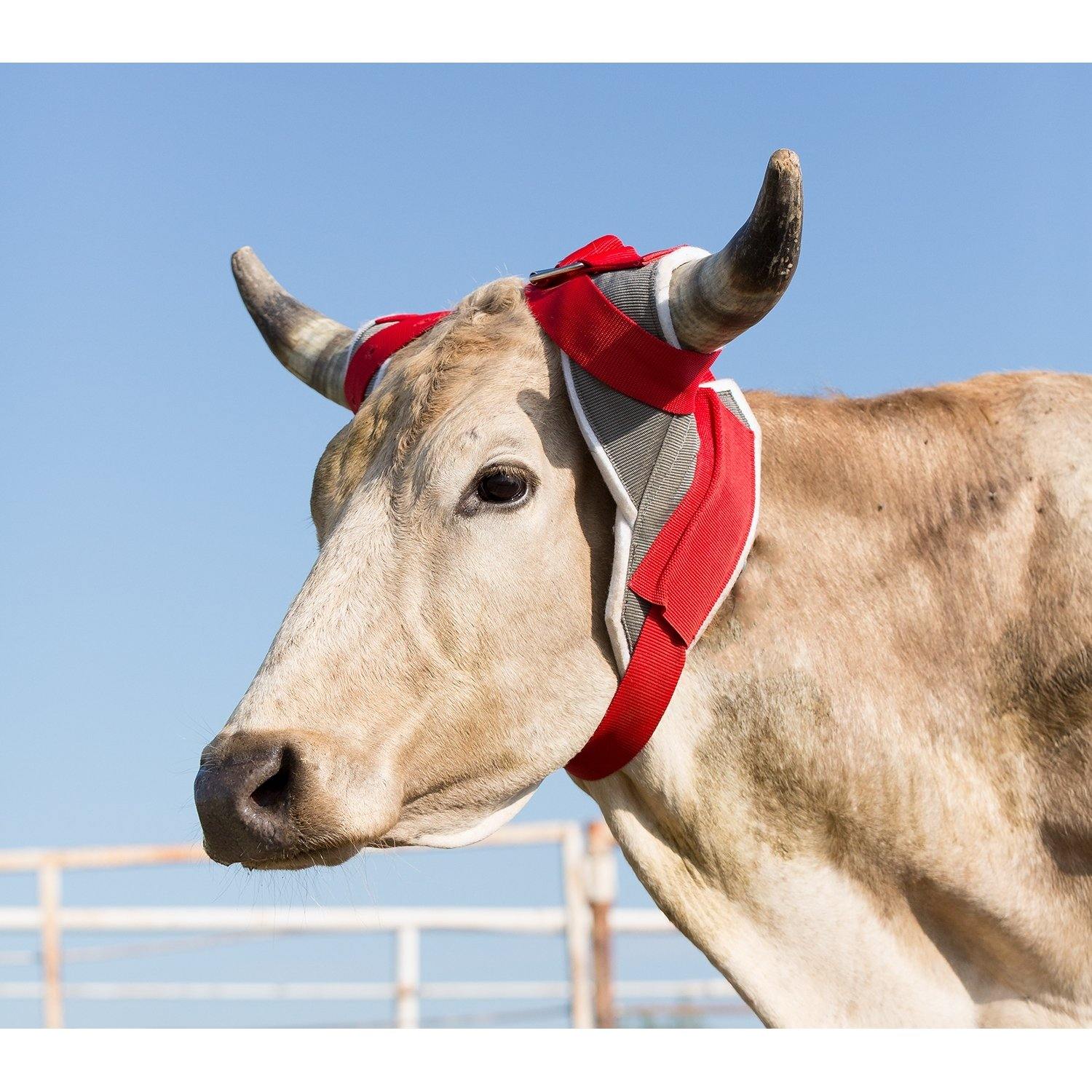 Calf Horn Wrap - FG Pro Shop Inc.