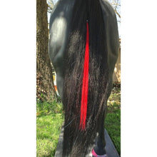 Load image into Gallery viewer, Gypsy Tail and Mane Extensions - FG Pro Shop Inc.
