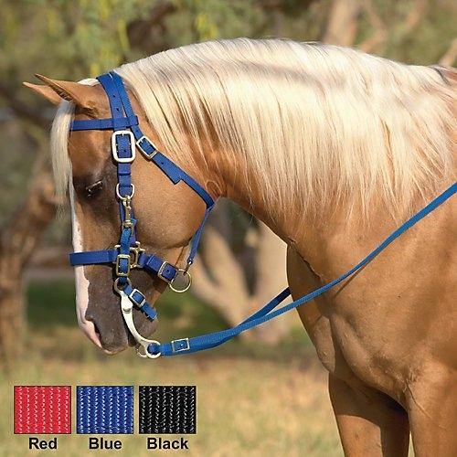 Un Dessin D'un Cheval Avec Une Bride Dessus. | Vecteur Premium Un Dessin D'un Cheval Avec Une Bride Dessus. | Vecteur Premium