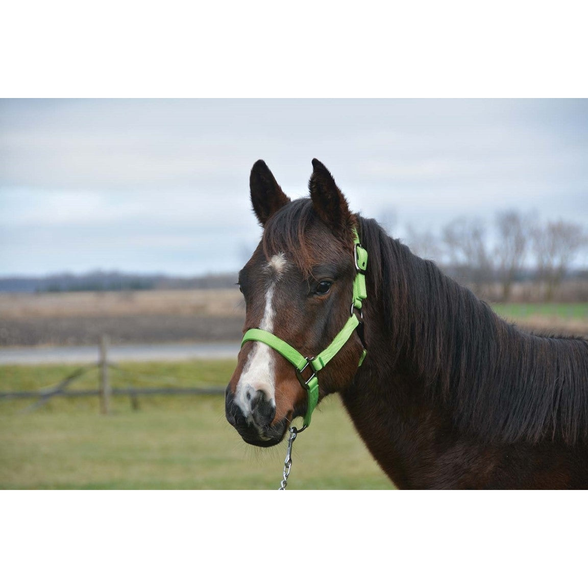 Signature Fashion Halter