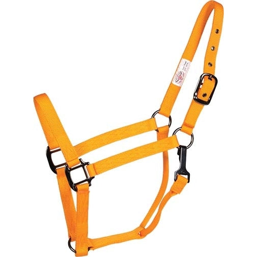 Signature Fashion Halter