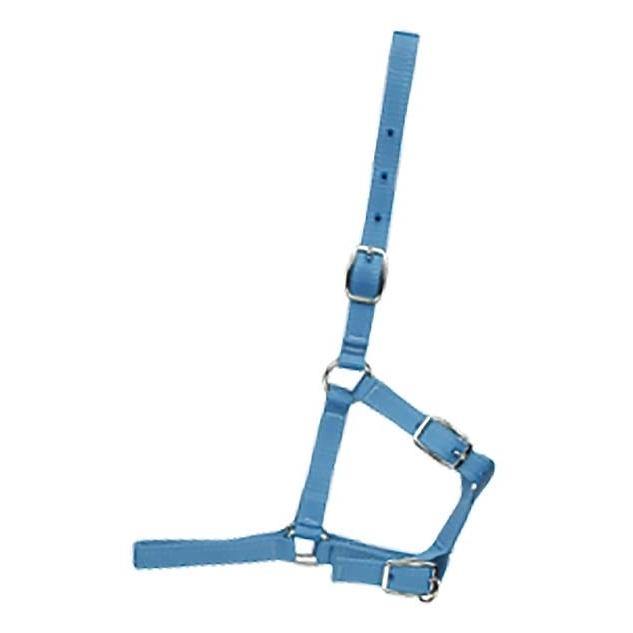 Foal Halter - Western Rawhide - FG Pro Shop Inc.