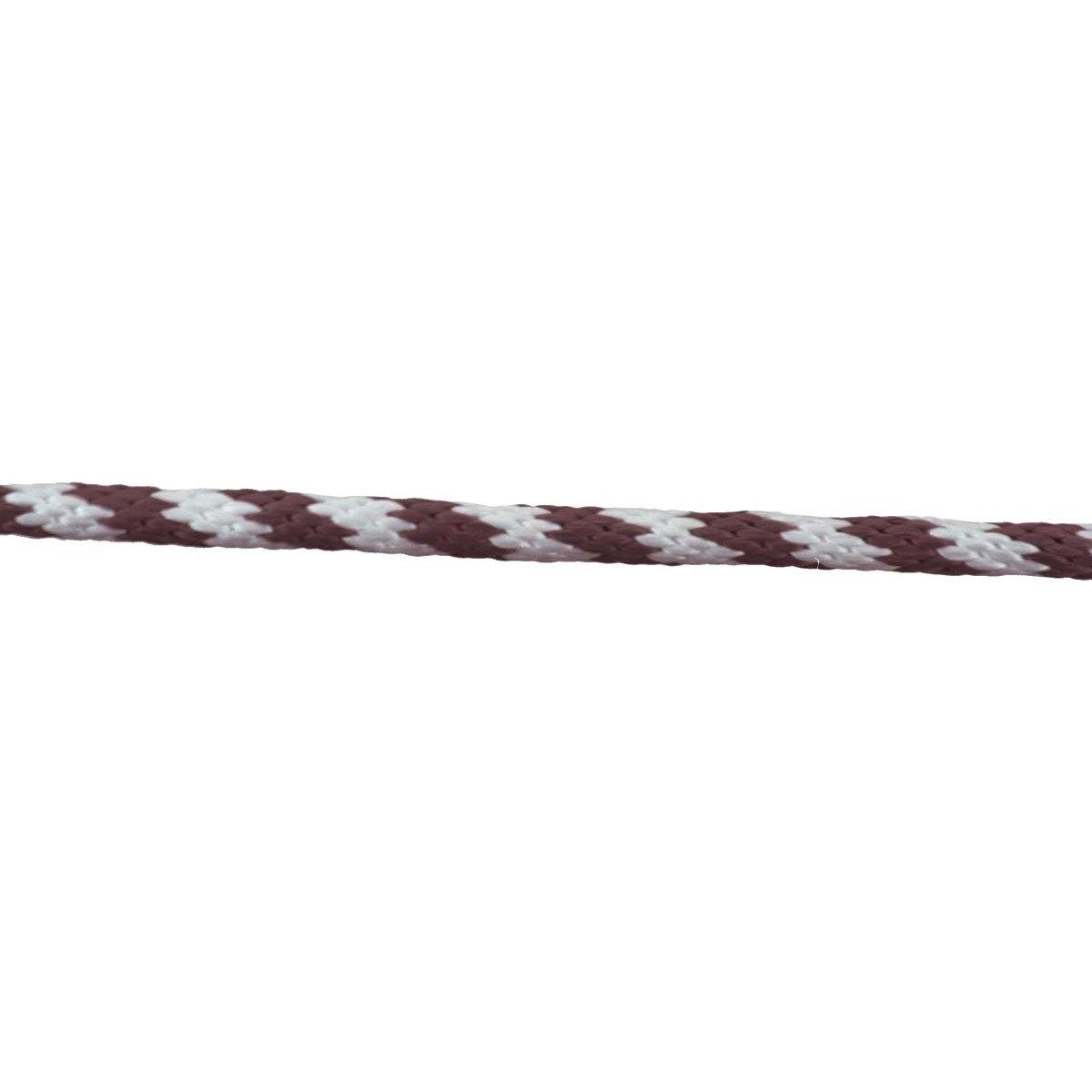 Lead Rope 5/8" X 10' Poly Lead with Brass Snap - FG Pro Shop Inc.