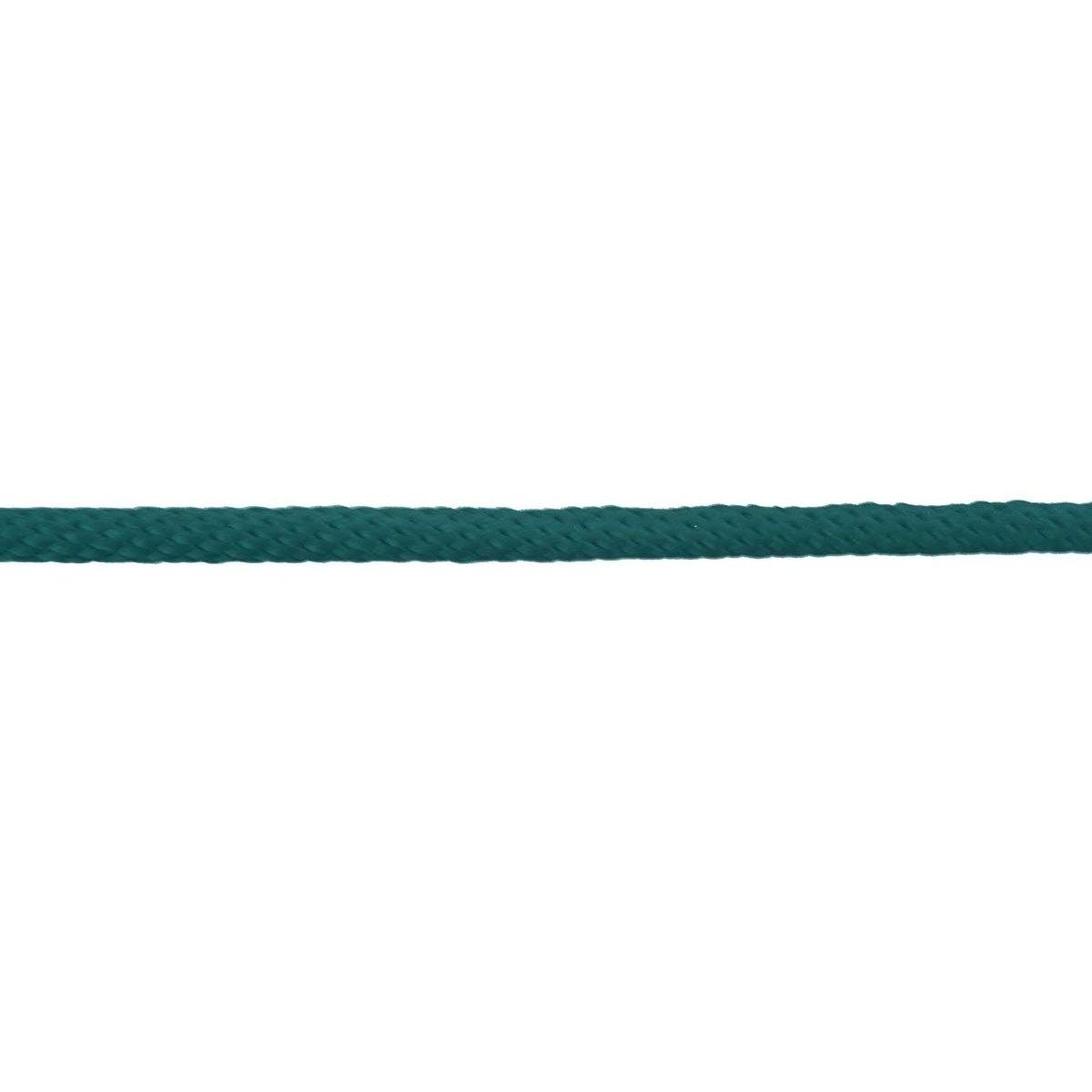 Lead Rope 5/8" X 10' Poly Lead with Brass Snap - FG Pro Shop Inc.