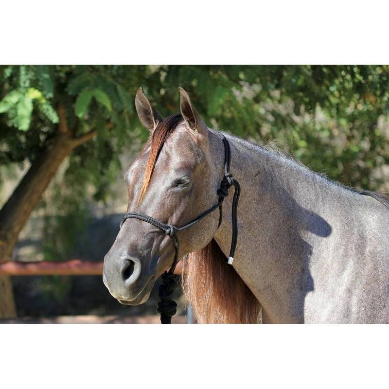 Rope Halter with 10' Lead - FG Pro Shop Inc.