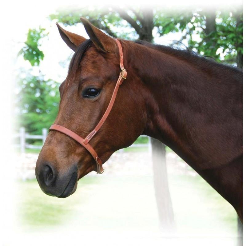 Harness Leather Cavesson - FG Pro Shop Inc.