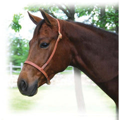 Harness Leather Cavesson - FG Pro Shop Inc.