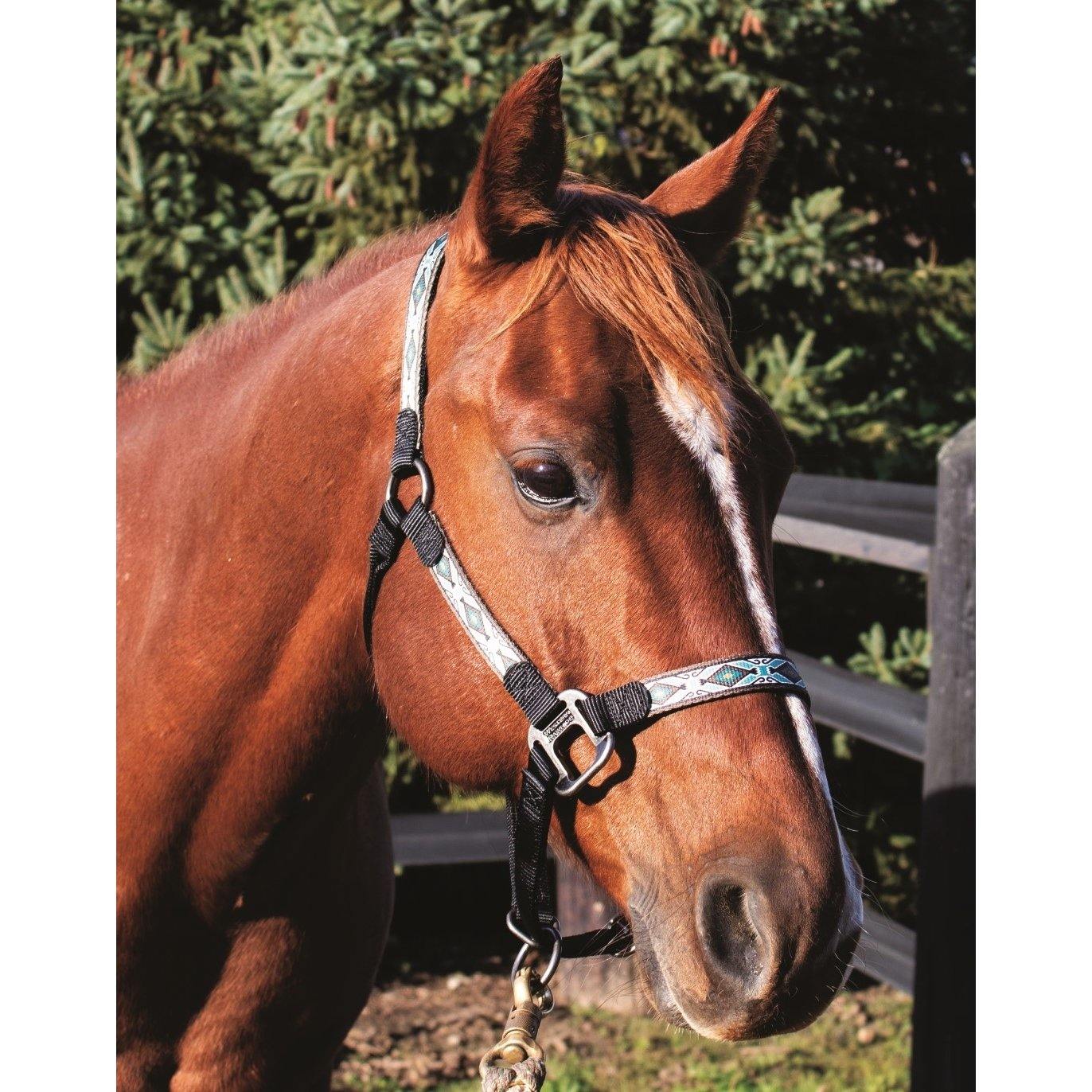 Signature Halter with Snap Black/Rhombus Pattern - FG Pro Shop Inc.
