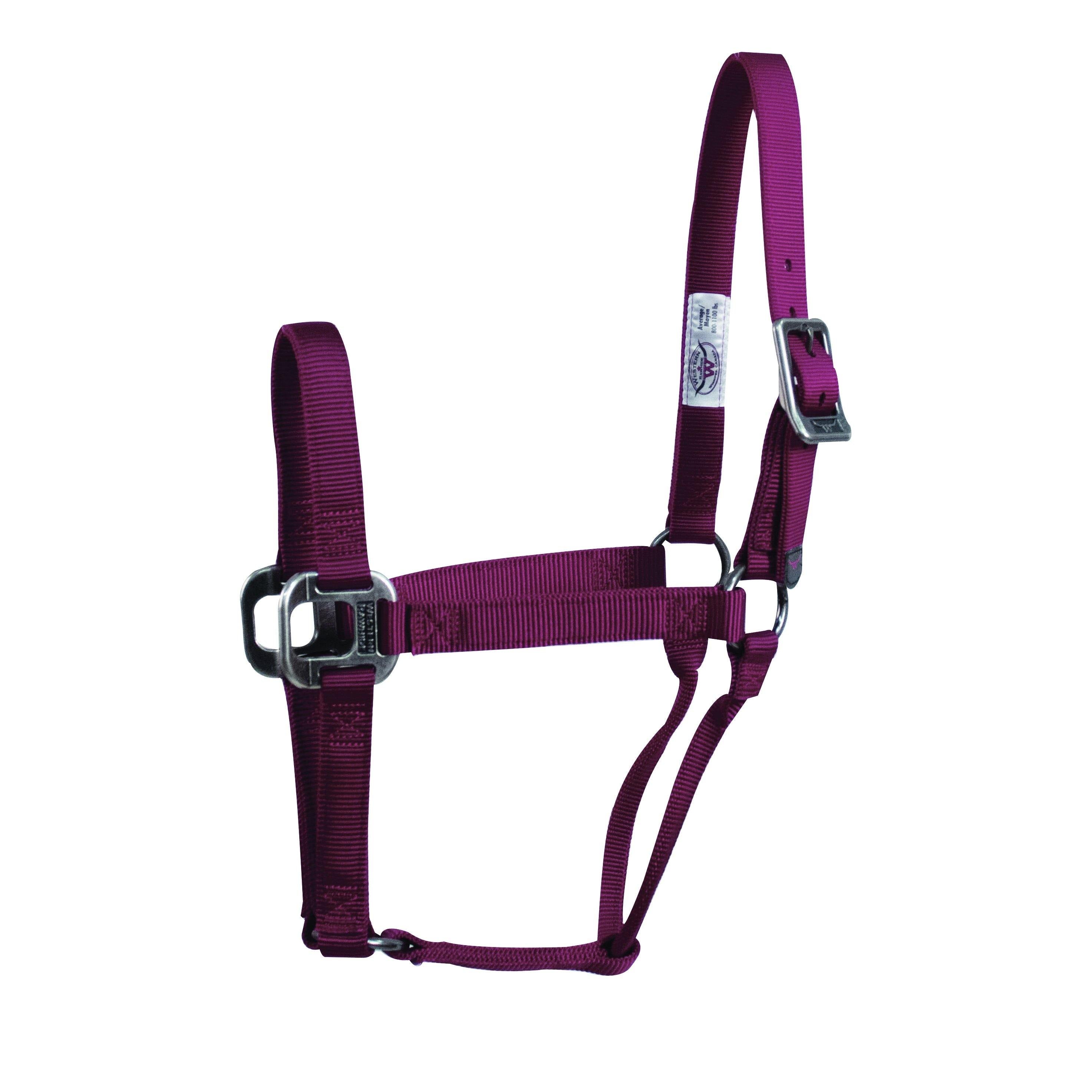 Signature Halter No Snap Solid Color - FG Pro Shop Inc.