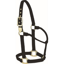 Load image into Gallery viewer, Signature Classic Halter Average Size - FG Pro Shop Inc.
