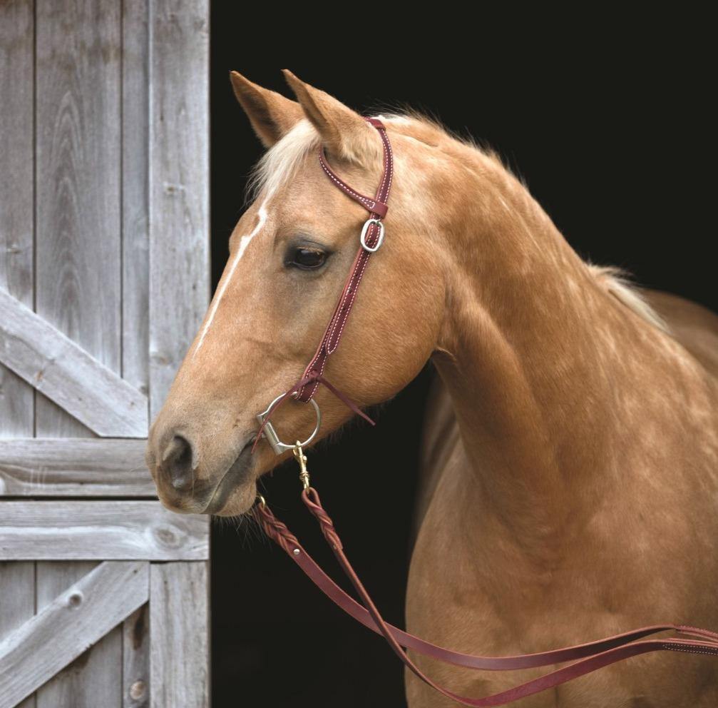 Sliding Ear Headstall - FG Pro Shop Inc.