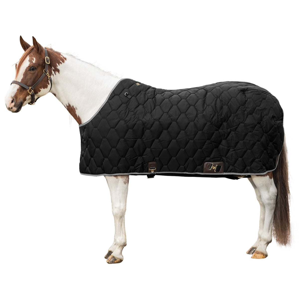 All American Stable Winter Blanket - Black