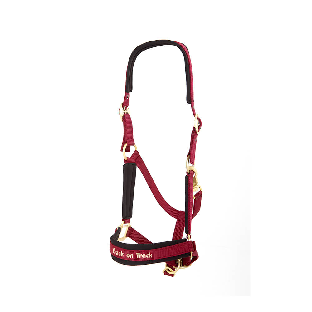 Werano Horse Halter - Burgundy