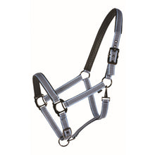 Load image into Gallery viewer, Designer PVC Padded Halter

