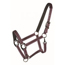 Load image into Gallery viewer, Designer PVC Padded Halter

