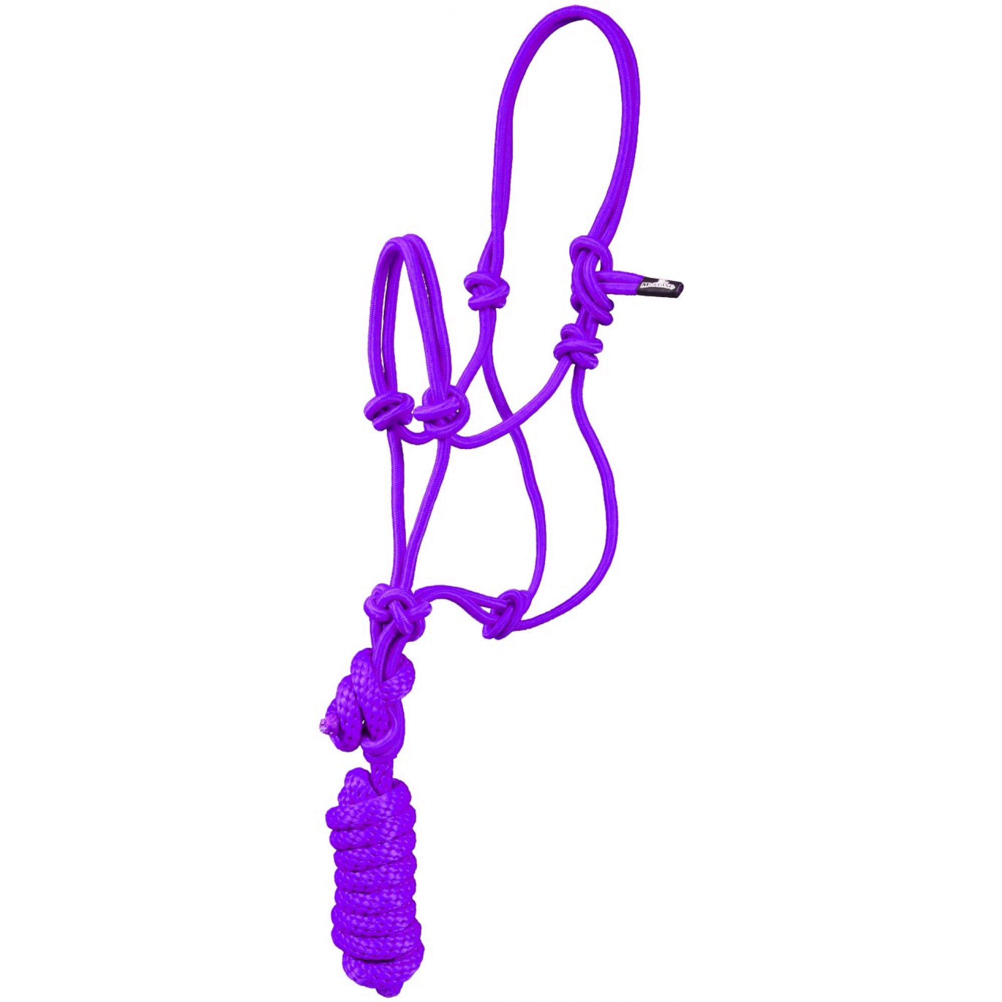 Pony Economy Rope Halter with Lead